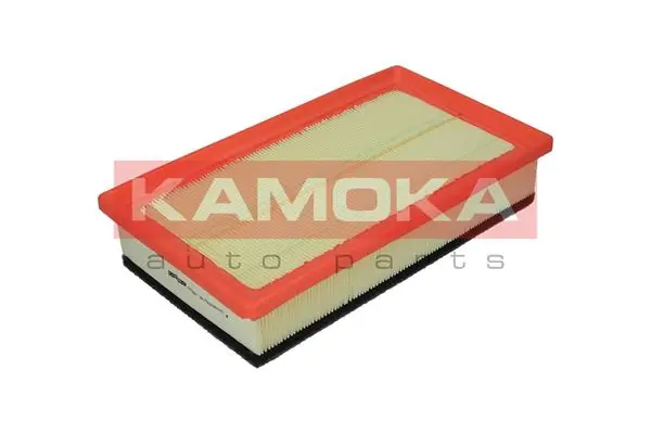 Air Filter F218001