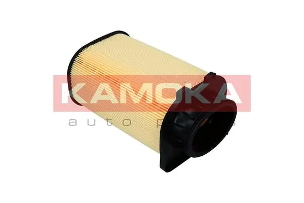 Air Filter F242501