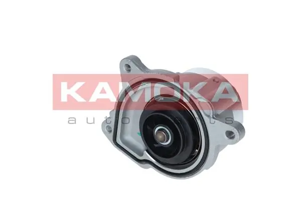 Water Pump, engine cooling T0019