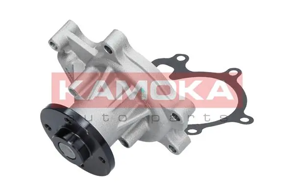 Water Pump, engine cooling T0269