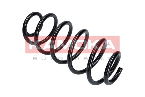 Suspension Spring 2110100