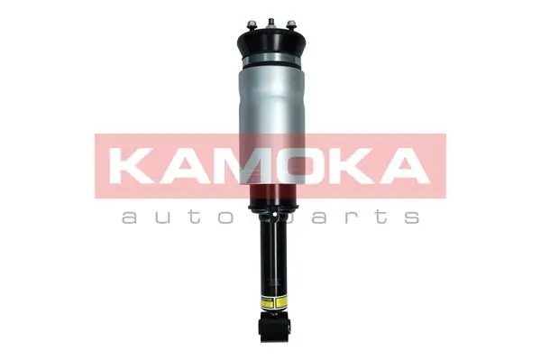 Air Suspension Strut 2070019