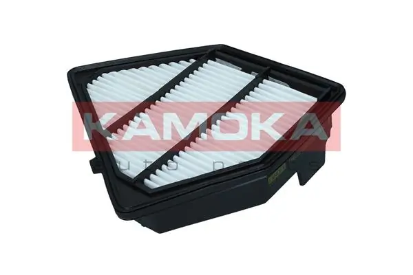 Air Filter F245101