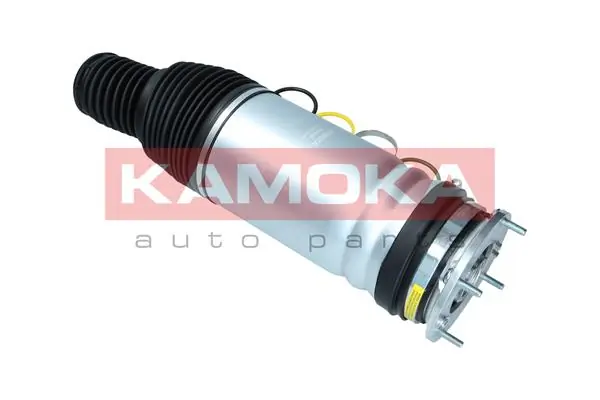 Air Spring, suspension 2079034