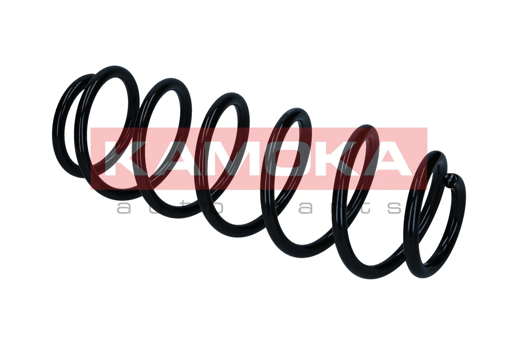 Suspension Spring 2110453