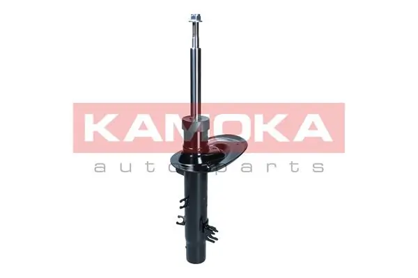 Shock Absorber 2000580