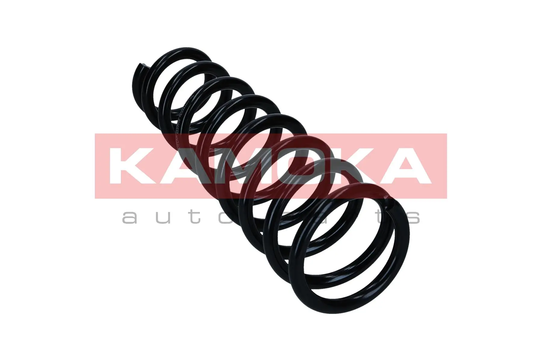 Suspension Spring 2110608