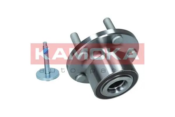 Wheel Bearing Kit 5500244