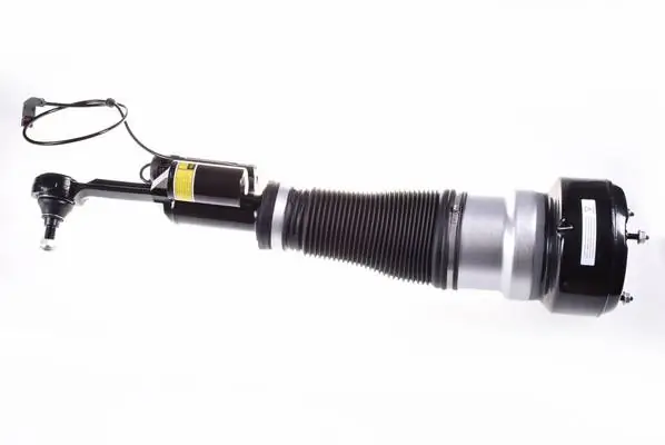 Air Suspension Strut DSA021G
