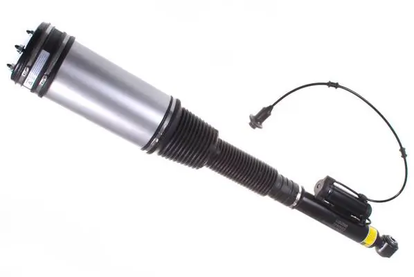 Air Suspension Strut DSA004G