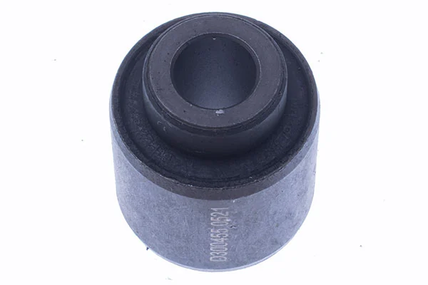 Mounting, control/trailing arm D300455