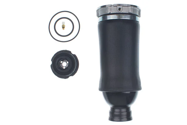 Air Spring, suspension DSA121G