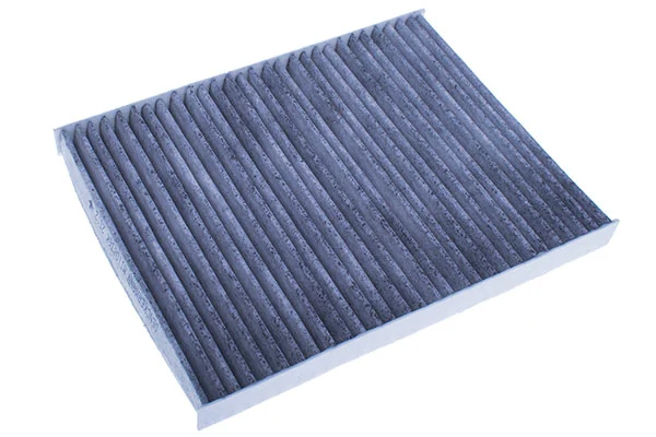 Filter, cabin air M110836K