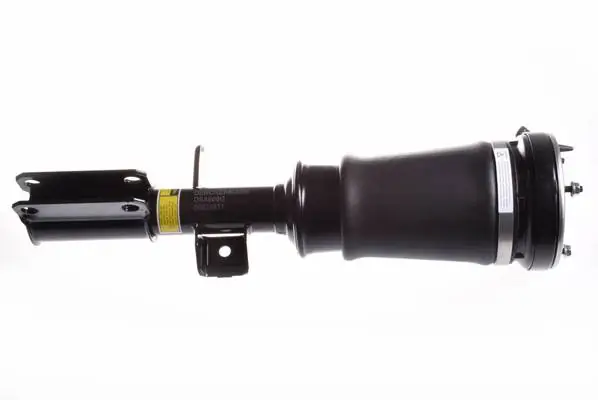 Air Suspension Strut DSA009G
