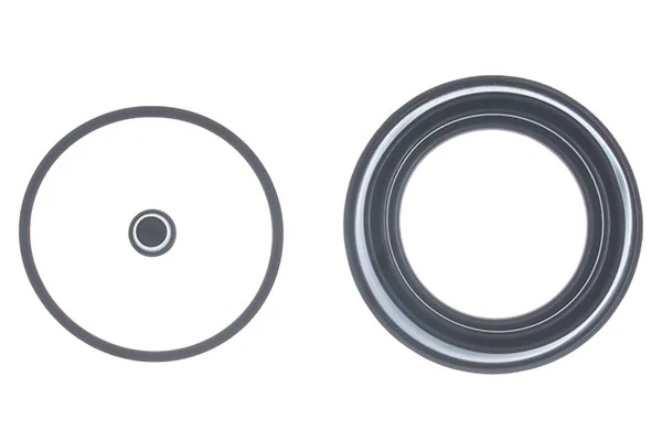 Repair Kit, brake caliper B200008