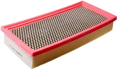 Air Filter A141689