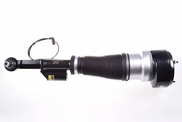 Air Suspension Strut DSA020G