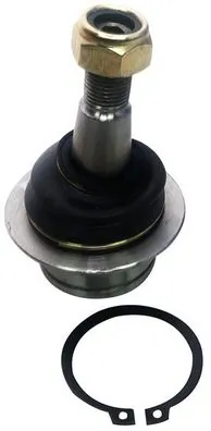 Ball Joint D120186
