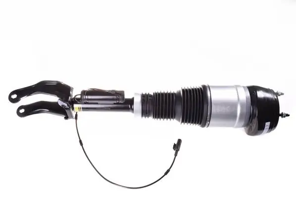 Air Suspension Strut DSA018G