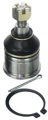 Ball Joint D110012