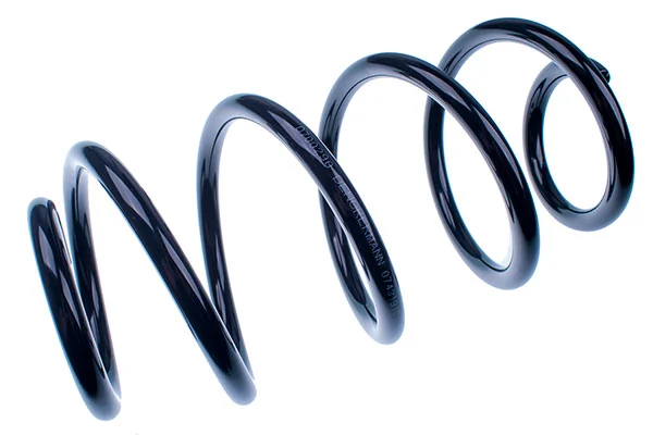 Suspension Spring D700290