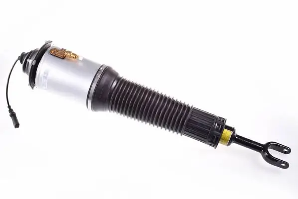 Air Suspension Strut DSA011G