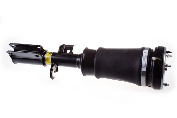 Air Suspension Strut DSA008G
