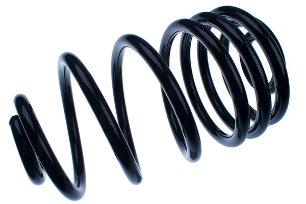 Suspension Spring D700270
