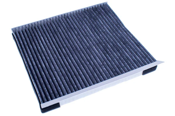 Filter, cabin air M110542K