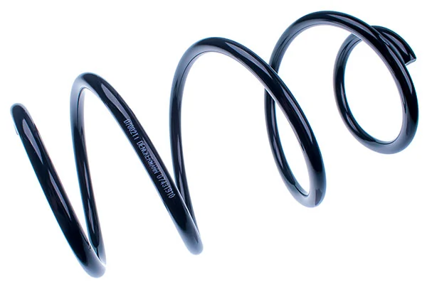 Suspension Spring D700211