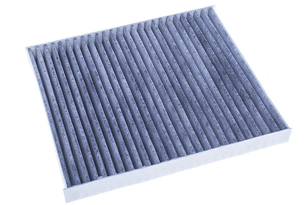 Filter, cabin air M110949K