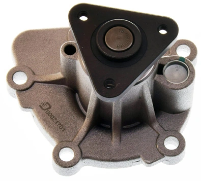 Water Pump, engine cooling A310969P