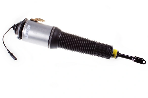 Air Suspension Strut DSA010G