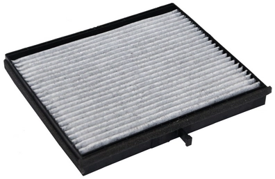 Filter, cabin air M110593K