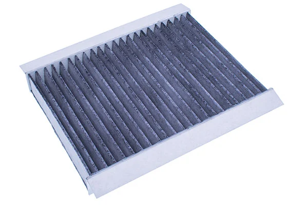 Filter, cabin air M110925K