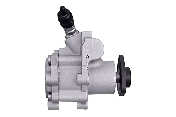 Hydraulic Pump, steering 8TL 359 003-221