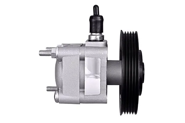 Hydraulic Pump, steering 8TL 359 003-121