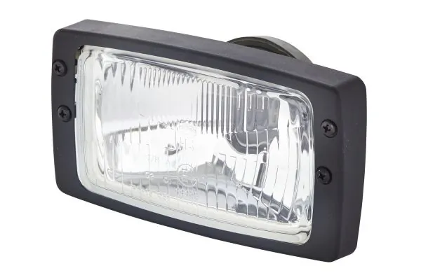 Headlight 1AB 006 213-001