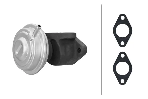 EGR Valve 6NU 014 865-441