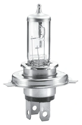 HELLA 8GH 223 498-448 Bulb, spotlight