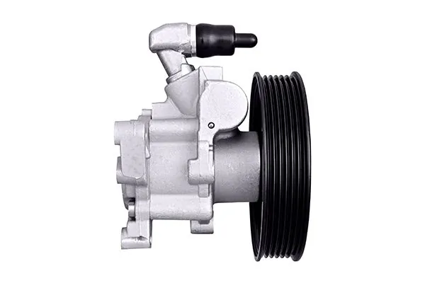 Hydraulic Pump, steering 8TL 359 003-091