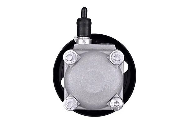 Hydraulic Pump, steering 8TL 359 003-121