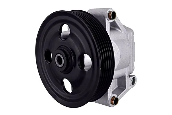 Hydraulic Pump, steering 8TL 359 003-011