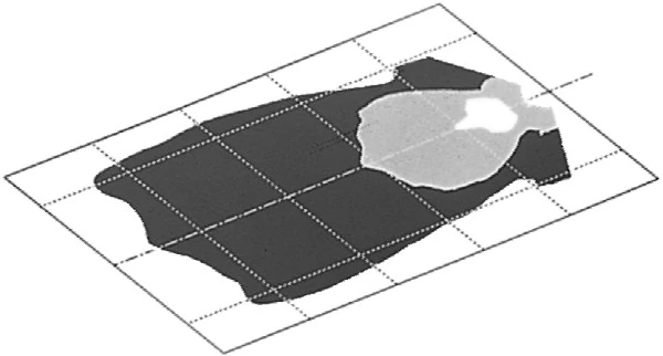 Worklight 1GB 006 213-111