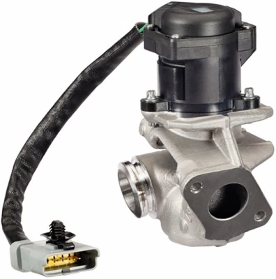 EGR Valve 6NU 010 171-131