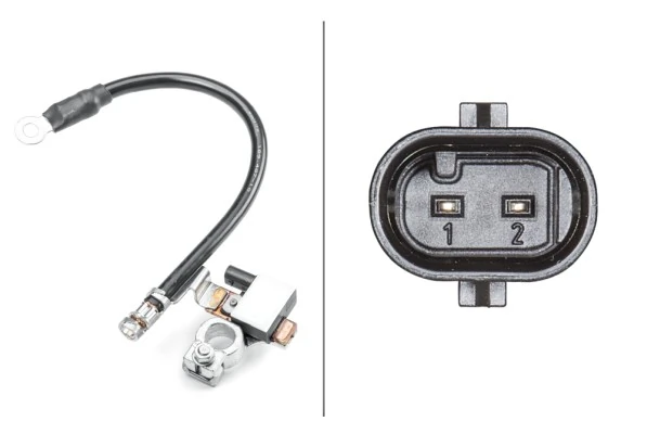 Sensor, battery management 6PK 011 190-901