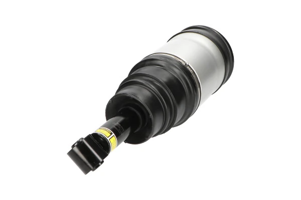 Air Suspension Strut SAS-10020