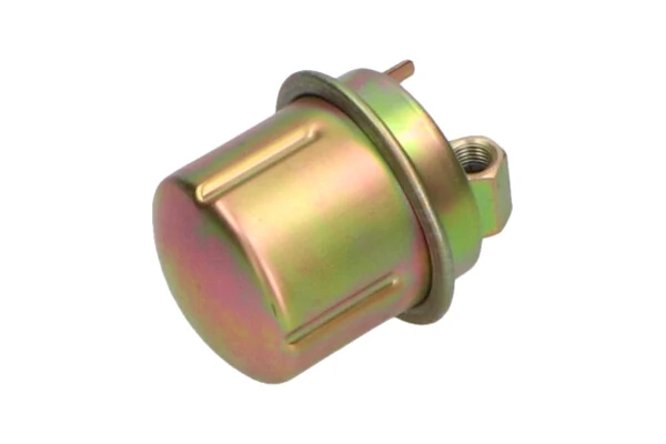 Kavo Parts HF-8955 Fuel Filter