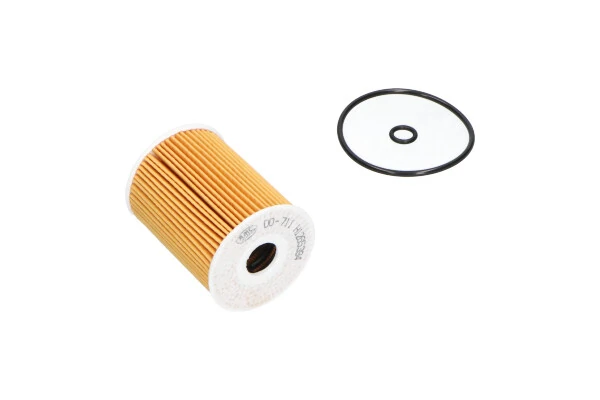 Oil Filter DO-711