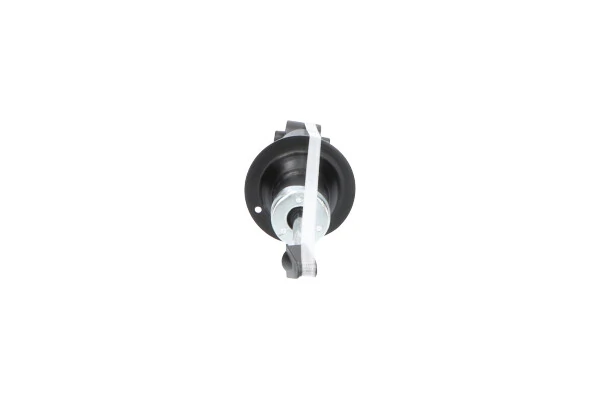Kavo Parts SSA-10201 Shock Absorber